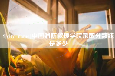 南充中国消防救援学院录取分数线是多少