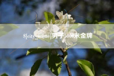 南充男子5000米金牌