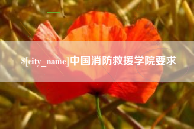 南充中国消防救援学院要求