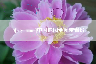 南充中国地图全图带省份