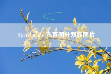 南充九宫图分割线图片