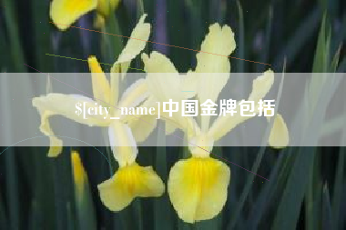南充中国金牌包括