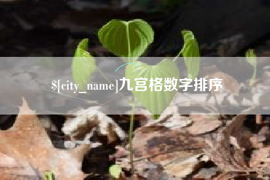 南充九宫格数字排序