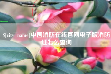 南充中国消防在线官网电子版消防证怎么查询