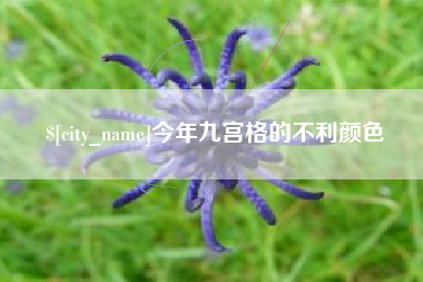 南充今年九宫格的不利颜色