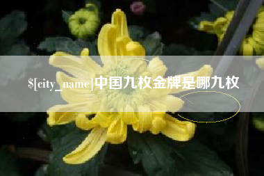 南充中国九枚金牌是哪九枚