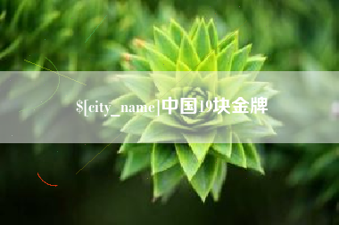 南充中国19块金牌