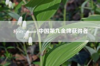 南充中国第九金牌获得者