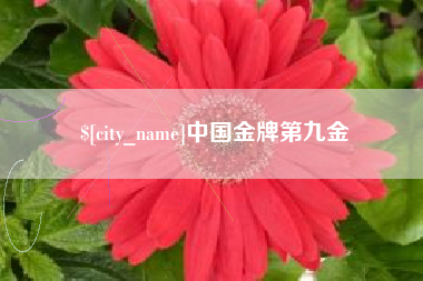 南充中国金牌第九金