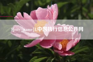 南充1.中国执行信息公开网