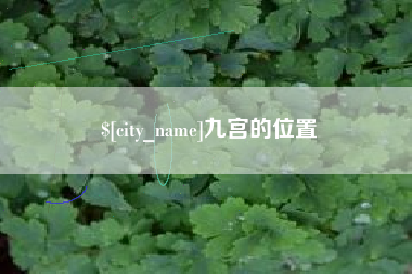 南充九宫的位置