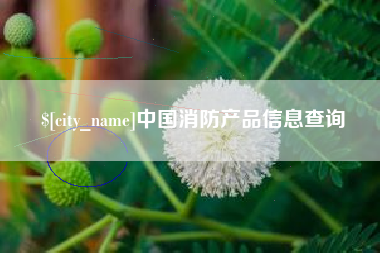 南充中国消防产品信息查询