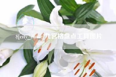 南充九宫格盘点工具图片