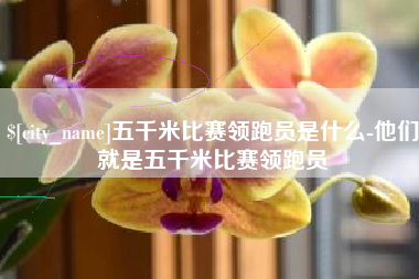 南充五千米比赛领跑员是什么-他们就是五千米比赛领跑员