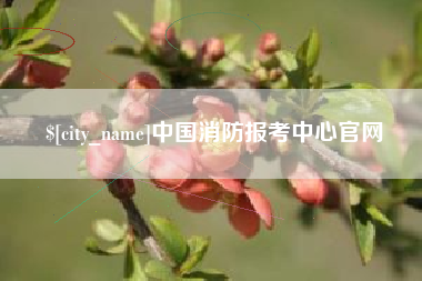 南充中国消防报考中心官网