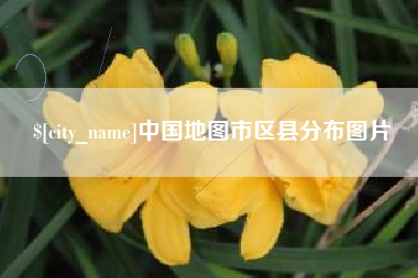 南充中国地图市区县分布图片