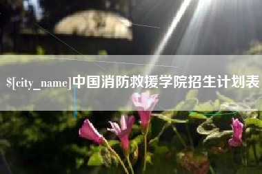 南充中国消防救援学院招生计划表
