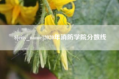 南充2020年消防学院分数线