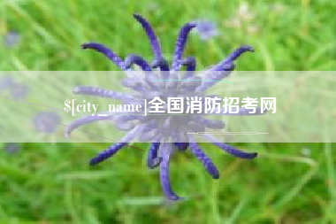 南充全国消防招考网