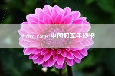 南充中国冠军手抄报