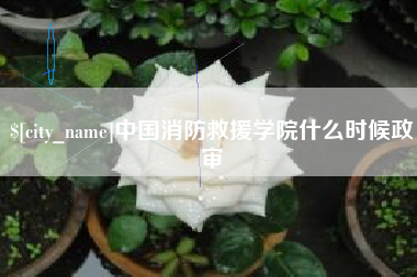 南充中国消防救援学院什么时候政审