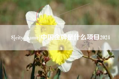 南充中国金牌是什么项目2024