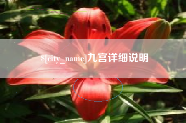 南充九宫详细说明