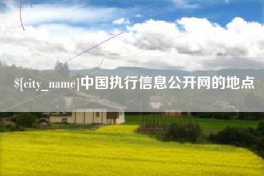南充中国执行信息公开网的地点
