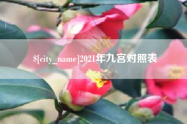南充2021年九宫对照表