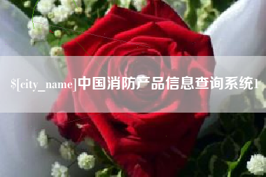 南充中国消防产品信息查询系统1