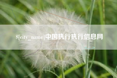 南充中国执行执行信息网