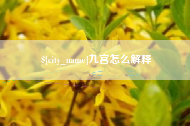 南充九宫怎么解释