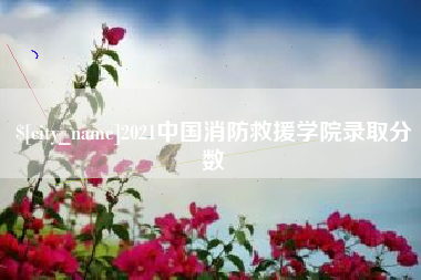 南充2021中国消防救援学院录取分数