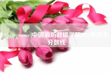 南充中国消防救援学院2021年招生分数线