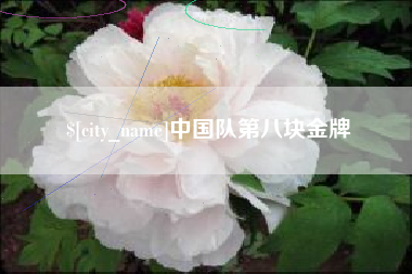 南充中国队第八块金牌