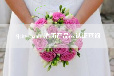 南充消防产品ccc认证查询
