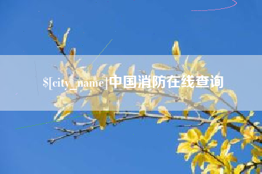 南充中国消防在线查询