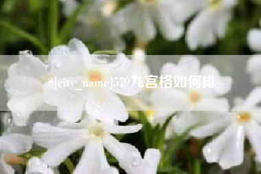 南充579九宫格如何排