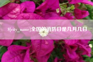 南充全国的消防日是几月几日
