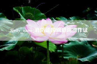 南充消防证国网查询操作证