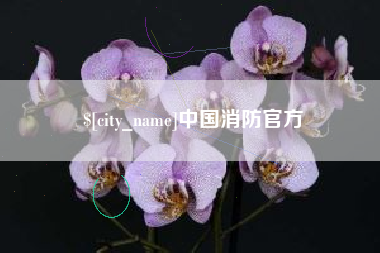 南充中国消防官方