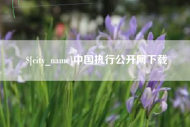 南充中国执行公开网下载