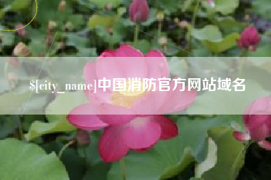 南充中国消防官方网站域名