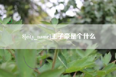 南充王子豪是个什么