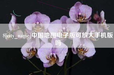 南充中国地图电子版可放大手机版吗