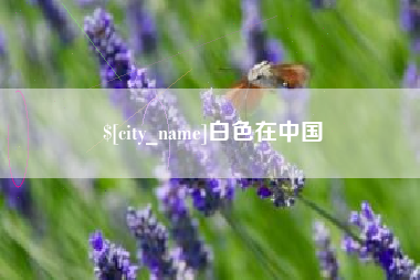 南充白色在中国