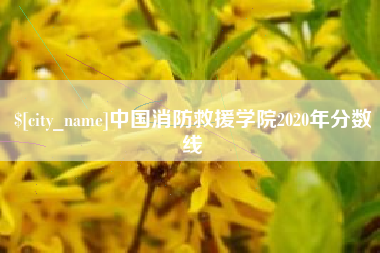 南充中国消防救援学院2020年分数线