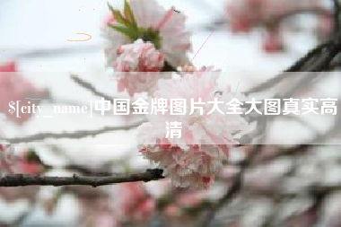南充中国金牌图片大全大图真实高清