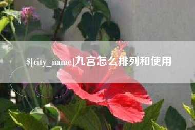 南充九宫怎么排列和使用