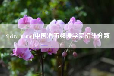 南充中国消防救援学院招生分数